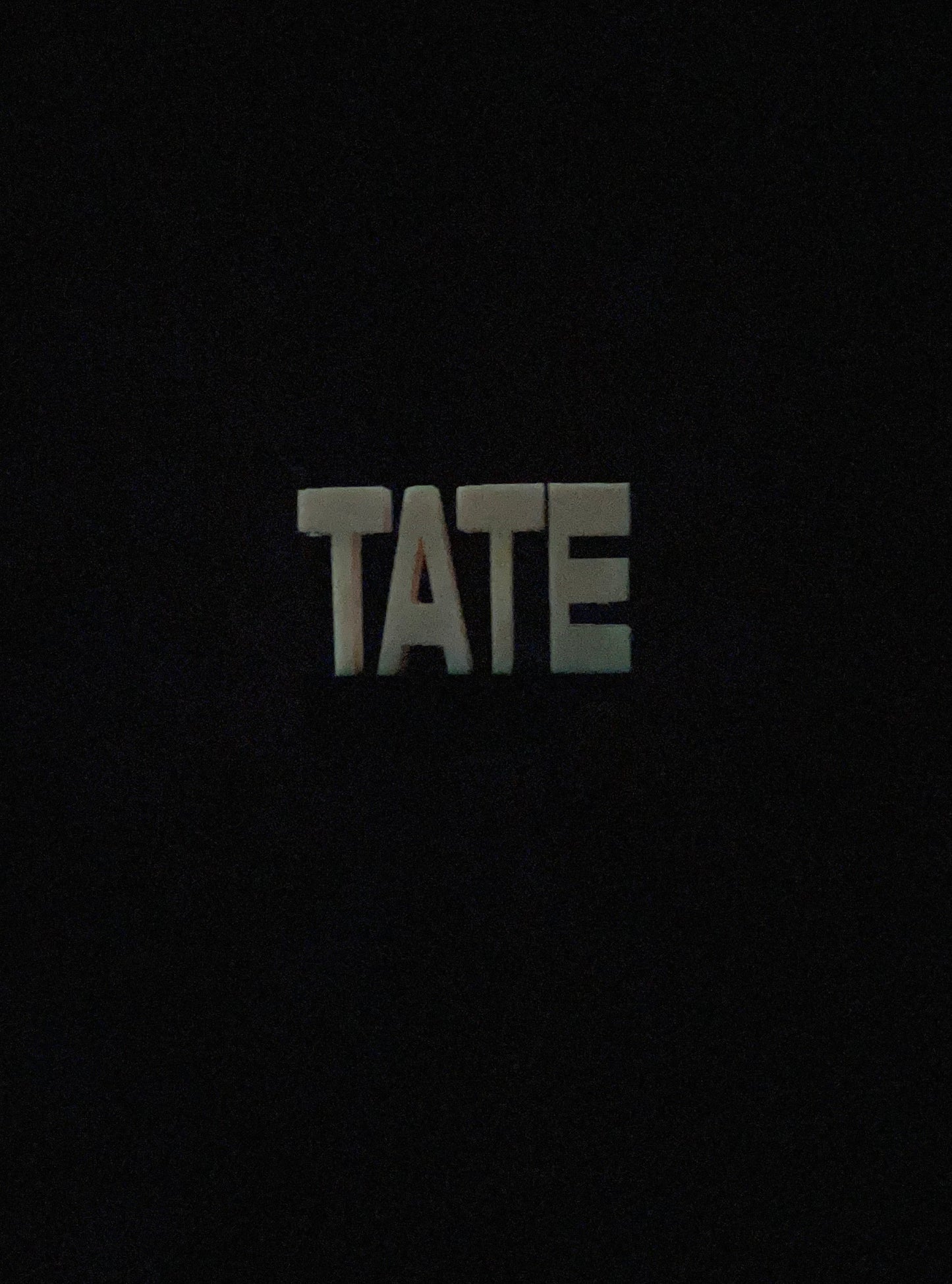Tate McRae vinyl charms